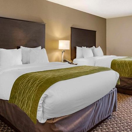 Comfort Inn Wings Stadium Kalamazoo Extérieur photo