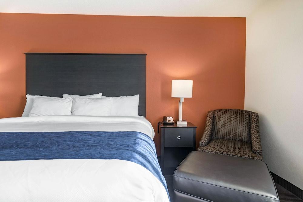 Comfort Inn Wings Stadium Kalamazoo Extérieur photo