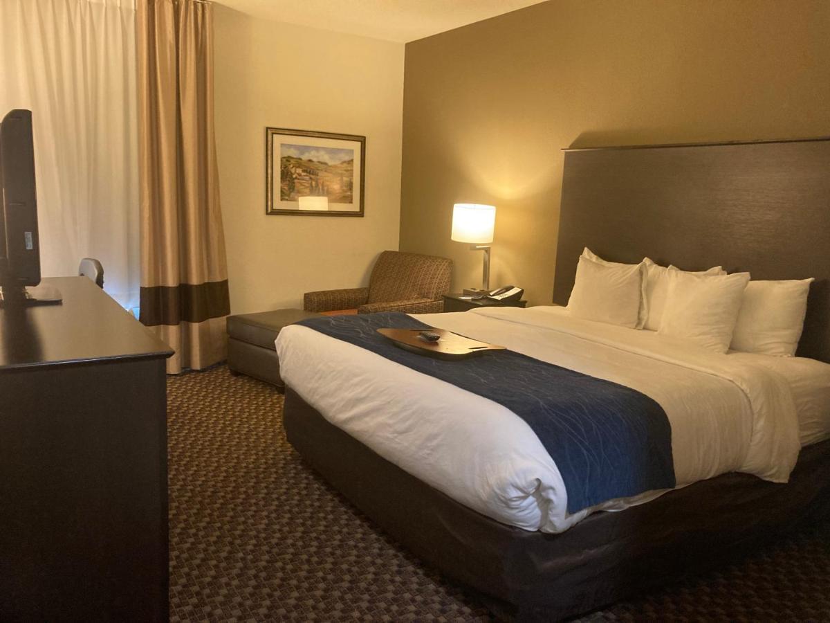 Comfort Inn Wings Stadium Kalamazoo Extérieur photo