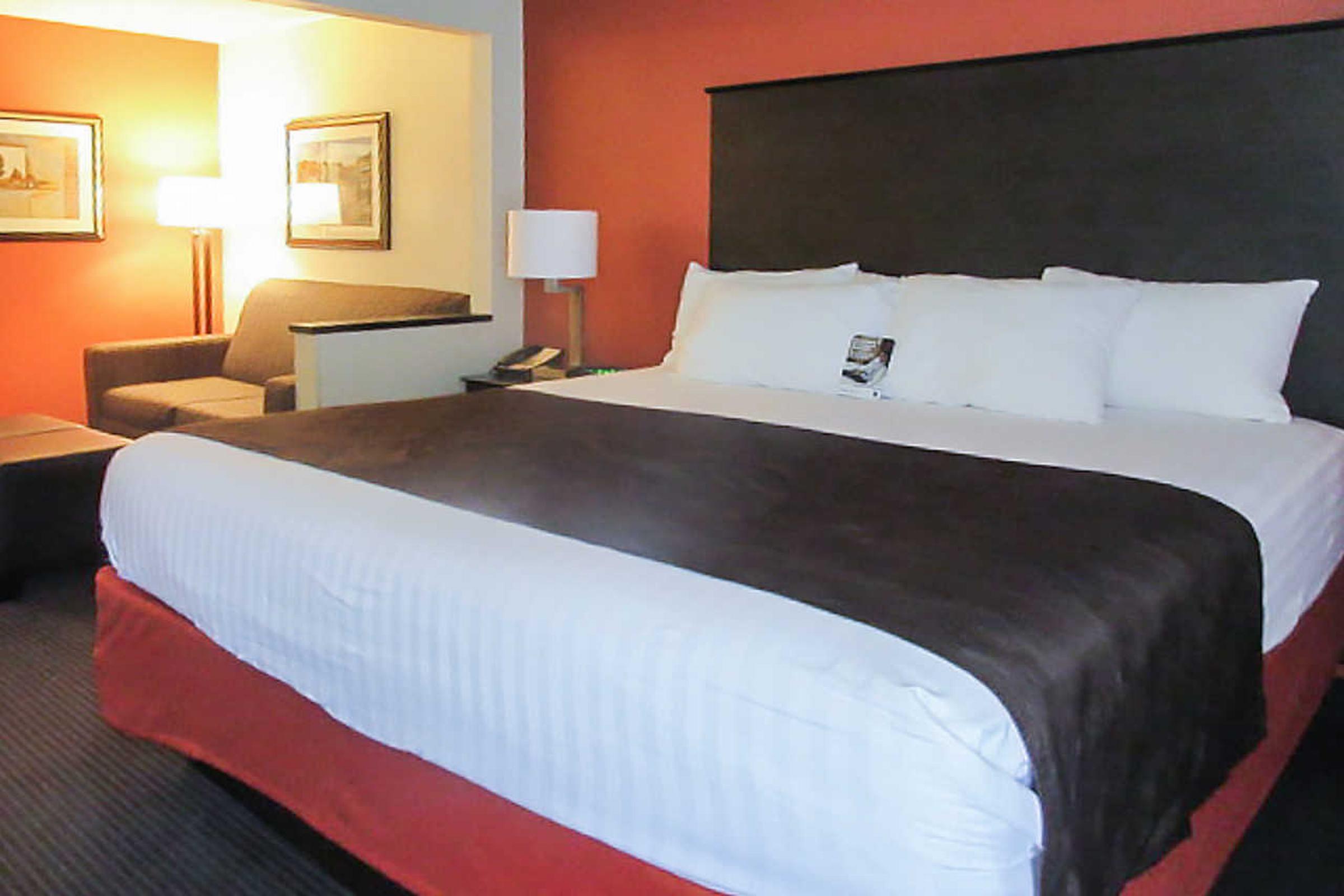 Comfort Inn Wings Stadium Kalamazoo Extérieur photo