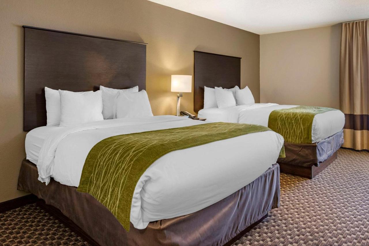 Comfort Inn Wings Stadium Kalamazoo Extérieur photo